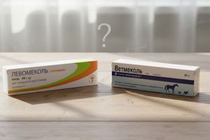Ветмеколь: чому цю мазь називають &laquo;новий Левоміколь&raquo; для тварин і в чому вона насправді краща &mdash; фото
