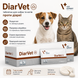 DiarVet (ДіарВет) 6 таблеток &mdash; кормова добавка для котів і собак при діареї, рідкому калі та порушенні роботи кишечника