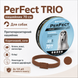 PerFect TRIO протипаразитарний нашийник для собак 70 см від бліх і кліщів - Коричневий