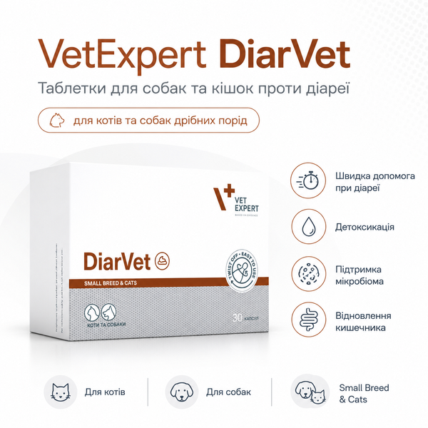 DiarVet Small (ДіарВет Смол) 6 капсул для котів і собак дрібних порід при діареї  &mdash; VetExpert DiarVet Small (ДіарВет Смол), 6 капс &mdash; комплексний засіб для котів і собак при гострих та хронічних розладах травлення, що супроводжуються діареєю. Допомагає зв&rsquo;язувати надлишкову воду в кишечнику, сприяє формуванню нормальних випорожнень, підтримує кишковий мікробіом та нормальну роботу шлунково-кишкового тракту.

DiarVet містить бентоніт, інулін цикорію, сушену яблучну м&rsquo;якоть, таніни, вітамін А, оксид цинку та бетаїн. Препарат застосовують також при інтоксикаціях, пов&rsquo;язаних із порушенням травлення, та для підтримки кишкової мікрофлори після антибіотикотерапії або стресу.