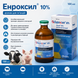 Енроксил 10% 100 мл - розчин для ін&rsquo;єкцій з енрофлоксацином