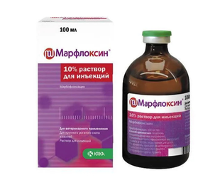 Марфлоксин 10% Marfloxin ін'єкційний антибіотик для свиней та ВРХ, 100 мл &mdash;